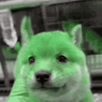 hyhy